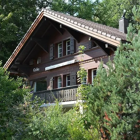 アパート Erika, Chalet